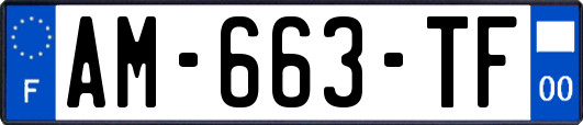 AM-663-TF