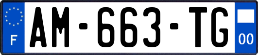AM-663-TG
