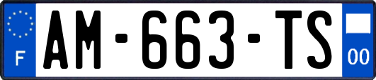 AM-663-TS