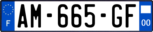 AM-665-GF