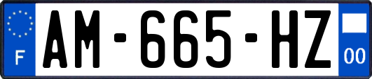 AM-665-HZ