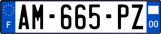 AM-665-PZ