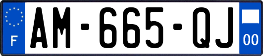 AM-665-QJ