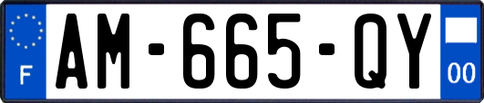 AM-665-QY