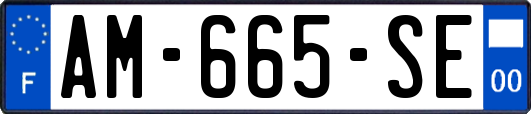 AM-665-SE