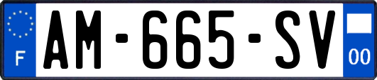 AM-665-SV