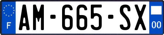AM-665-SX