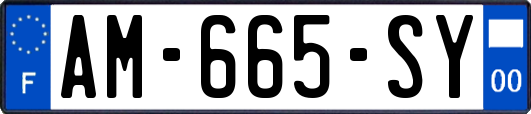AM-665-SY