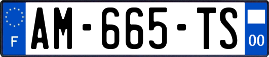 AM-665-TS