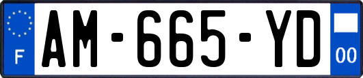AM-665-YD