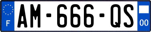AM-666-QS