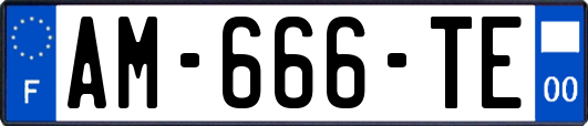 AM-666-TE