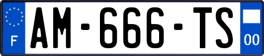 AM-666-TS