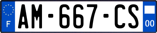 AM-667-CS