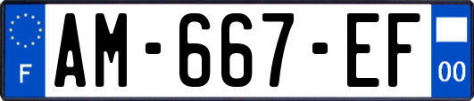 AM-667-EF