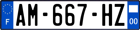 AM-667-HZ
