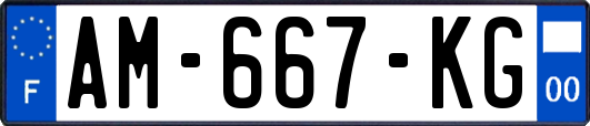 AM-667-KG
