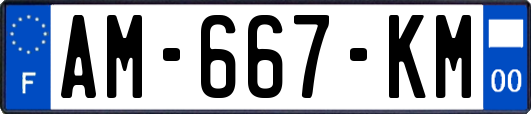AM-667-KM