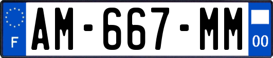 AM-667-MM