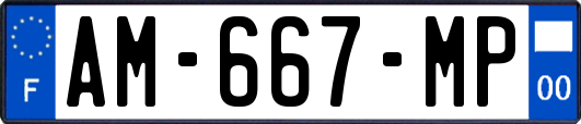 AM-667-MP