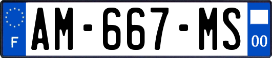 AM-667-MS