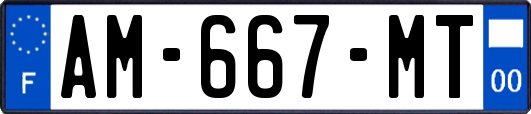 AM-667-MT