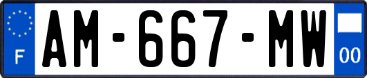 AM-667-MW