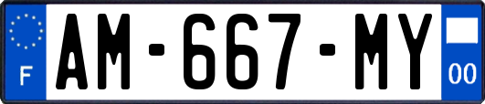 AM-667-MY