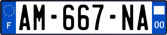 AM-667-NA