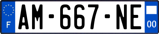 AM-667-NE