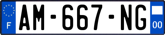 AM-667-NG