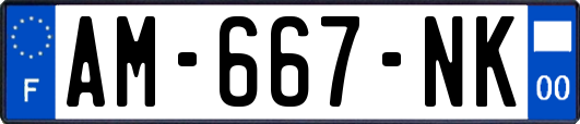 AM-667-NK