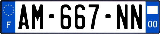 AM-667-NN