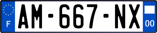 AM-667-NX
