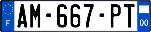 AM-667-PT