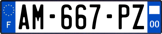AM-667-PZ