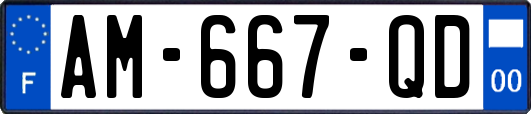AM-667-QD