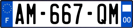 AM-667-QM