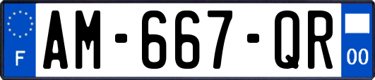 AM-667-QR