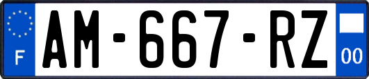 AM-667-RZ