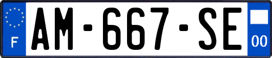 AM-667-SE