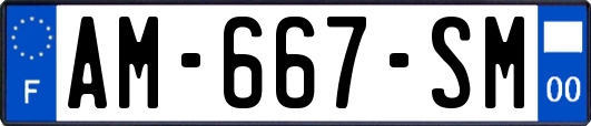 AM-667-SM