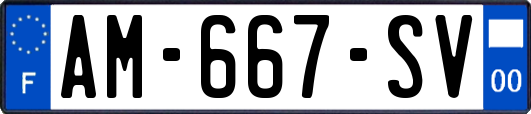 AM-667-SV