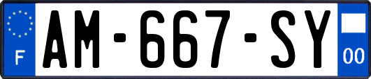 AM-667-SY