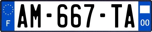 AM-667-TA