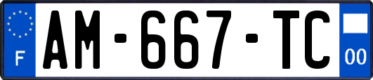 AM-667-TC
