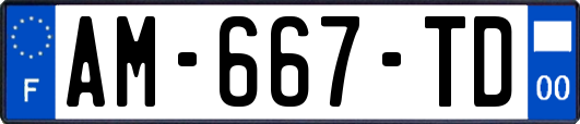 AM-667-TD