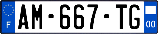 AM-667-TG