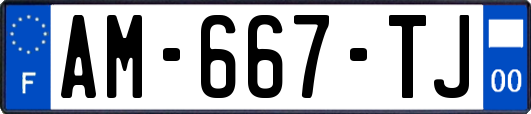 AM-667-TJ