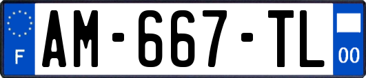 AM-667-TL